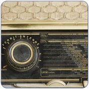 Patch Schlager 4 für LIMEX Soundplatinen